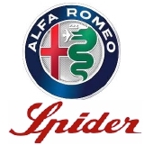 alfa spider